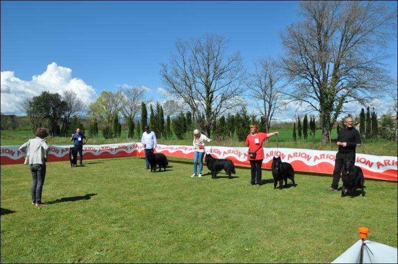 45-eleccion ccpnmachos